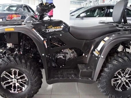 2026 Stels ATV-650YS Leopard, чёрный, 545400 рублей, вид 4