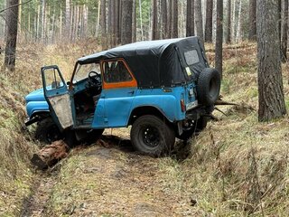 1993 УАЗ 31512, голубой, 500000 рублей, вид 3