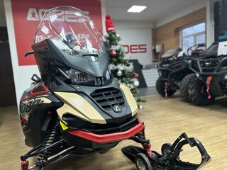 2025 AODES (Odes) Snowcross 1000, бежевый, 999000 рублей, вид 4