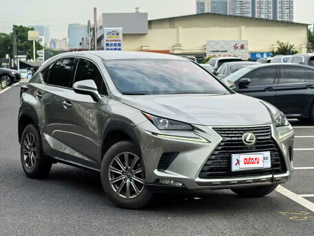 2021 Lexus NX 200 I Рестайлинг, серый, 2500000 рублей, вид 4