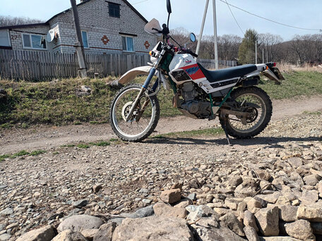 1995 Yamaha XT225 Serow, белый, 160000 рублей, вид 3