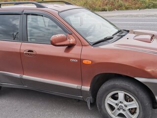 2001 Hyundai Santa Fe I, коричневый, 580000 рублей, вид 5