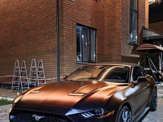 2021 Ford Mustang VI Рестайлинг, серый, 3300000 рублей, вид 1