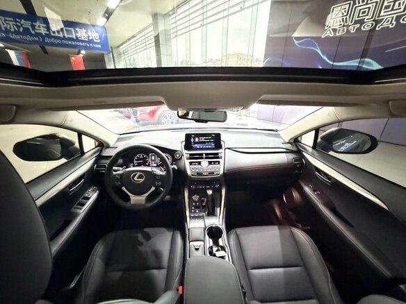 2020 Lexus NX 200 I Рестайлинг, бежевый, 3877700 рублей - вид 9