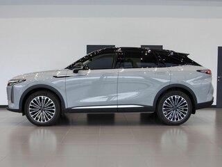 2025 Exeed RX, серый, 5490000 рублей, вид 5
