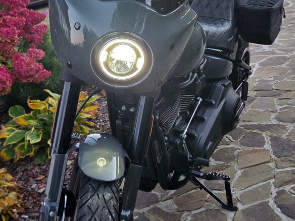 2022 Harley-Davidson Low Rider, серый, 2000000 рублей - вид 3