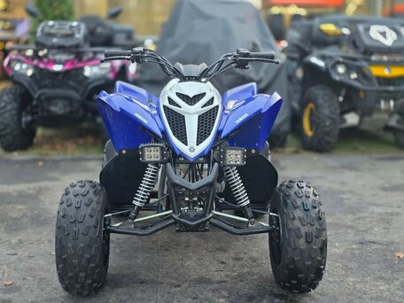 2019 Yamaha Raptor YFM90, синий, 220000 рублей, вид 2