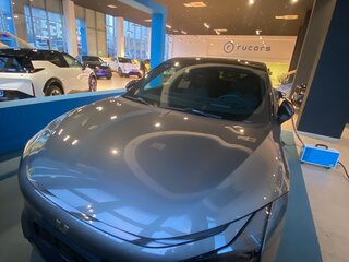 2024 Jidu 01, серый, 4200000 рублей, вид 4