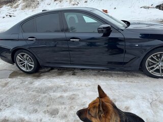 2017 BMW 5 серии 520d xDrive VII (G30/G31/G38), чёрный, 2950000 рублей, вид 3