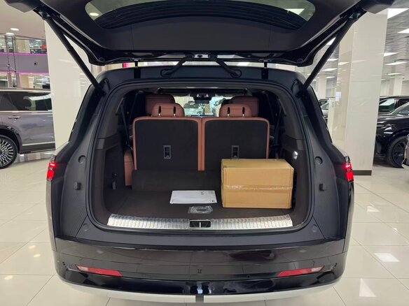2025 Denza N9 46.9 kWh, фиолетовый - вид 19
