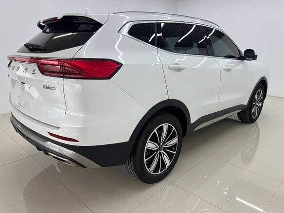2023 Haval H6 III, белый, 1560000 рублей - вид 7