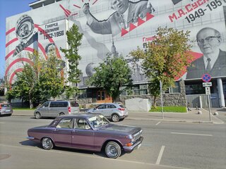 1979 ГАЗ 24 «Волга» 24 I (24), фиолетовый, 649000 рублей, вид 3
