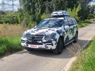 2010 Mercedes-Benz GL-Класс 350 I (X164) Рестайлинг, белый, 1350000 рублей, вид 3