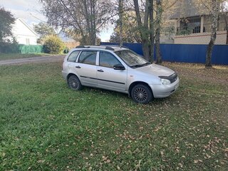 2012 Lada (ВАЗ) Kalina I, серебристый, 258000 рублей, вид 1