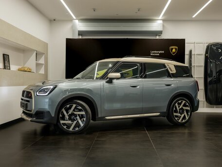 Mini Countryman III