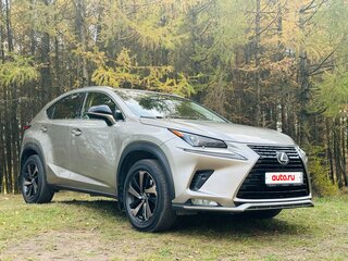 2020 Lexus NX 200 I Рестайлинг, серый, 3400000 рублей, вид 2
