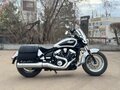 2024 Indian Scout, белый - вид 2