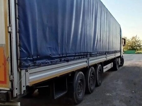 2019 Wielton NS 3 K, серый, 2500000 рублей, вид 5