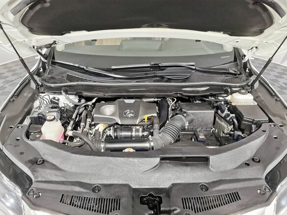 2018 Lexus RX 300 IV, белый, 4309000 рублей - вид 10