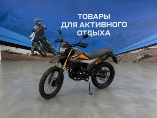2026 ЗиД 250 Enduro, чёрный, 135900 рублей, вид 1