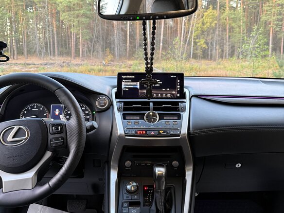 2018 Lexus NX 300 I Рестайлинг, серебристый, 3700000 рублей - вид 19