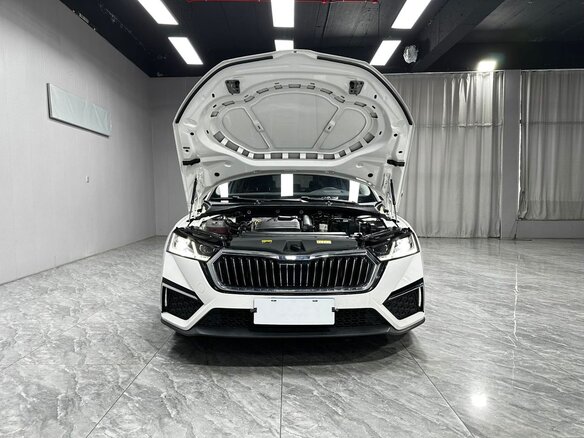 2022 Skoda Octavia IV (A8), белый - вид 5