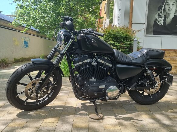 2020 Harley-Davidson Sportster 883, чёрный, 899000 рублей - вид 4