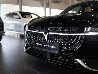 2026 Voyah Passion EVR I, чёрный, 6215000 рублей, вид 5