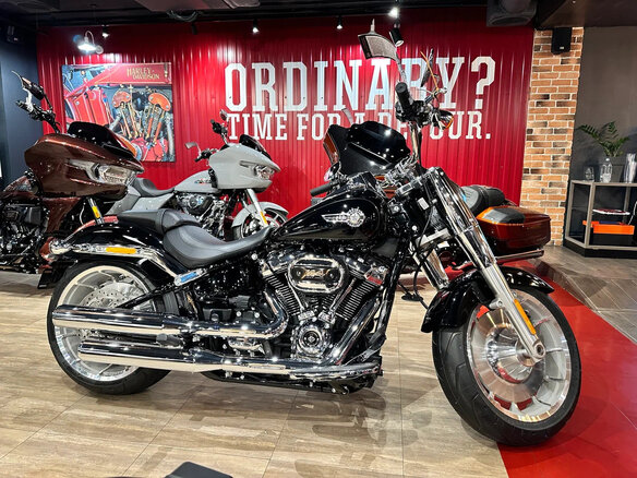 2023 Harley-Davidson Fat Boy, чёрный, 3300000 рублей - вид 13