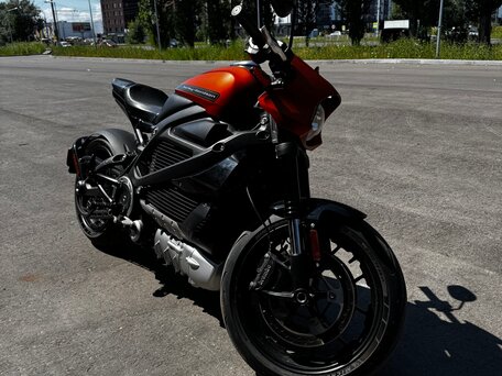 2020 Harley-Davidson LiveWire, оранжевый, 1490000 рублей, вид 3