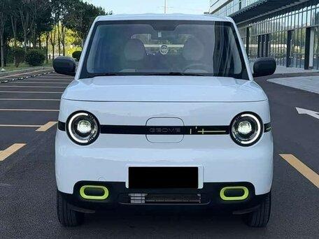 2025 Geely Panda I Рестайлинг, белый, 1150000 рублей, вид 2