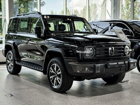 Tank 300 I