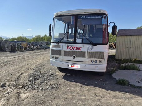 2022 ПАЗ 4234, белый, 2800000 рублей, вид 2