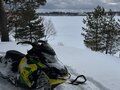 2016 BRP Lynx BoonDocker 600, жёлтый, 1050000 рублей