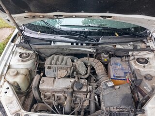 2013 Lada (ВАЗ) Kalina II, белый, 365000 рублей, вид 5