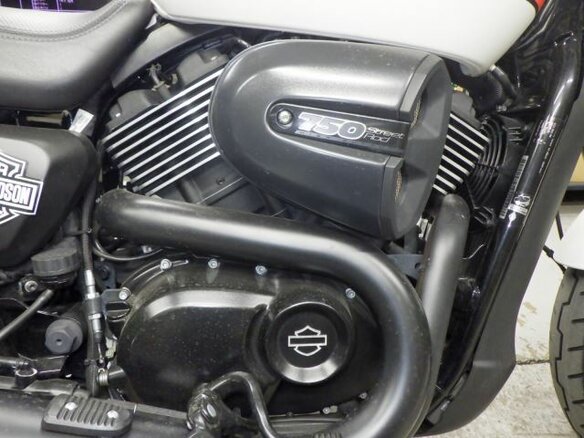 2019 Harley-Davidson Street Rod, белый, 690000 рублей - вид 6
