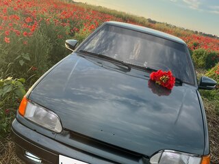 2009 Lada (ВАЗ) 2114, серый, 450000 рублей, вид 3