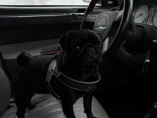 2007 Chrysler 300C I, чёрный, 1050000 рублей, вид 2