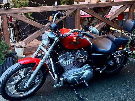 2010 Harley-Davidson Sportster 883, красный, 550000 рублей, вид 3
