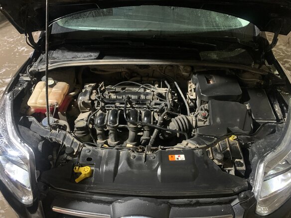 2014 Ford Focus III, чёрный, 720000 рублей - вид 12