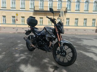 Regulmoto Majesty