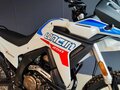 2026 Loncin DS250, белый, 258000 рублей - вид 6