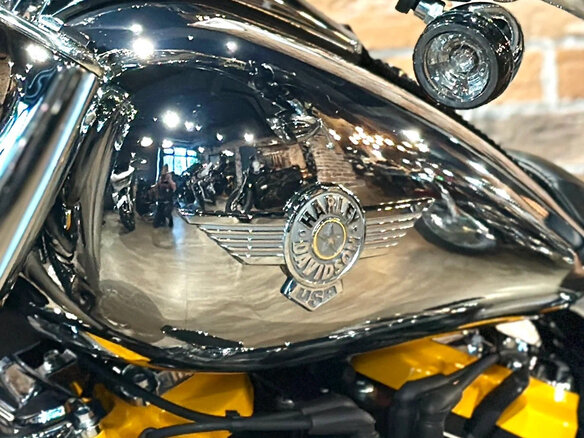 2025 Harley-Davidson Fat Boy, серебристый, 6000000 рублей - вид 9
