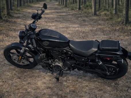 2024 Harley-Davidson Nightster, чёрный, 760000 рублей, вид 5