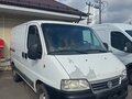 2011 Fiat Professional Ducato, белый, 950000 рублей