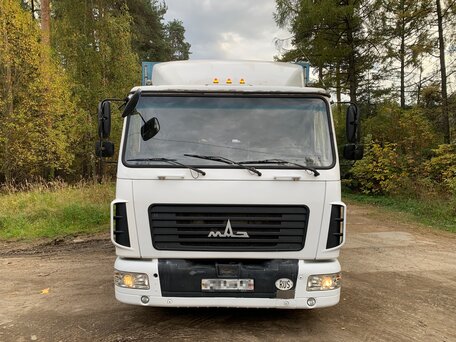 2012 МАЗ 4371, белый, 1290000 рублей, вид 5