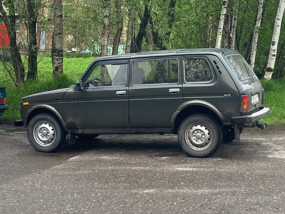 2007 Lada (ВАЗ) 2131 (4x4) Бронто-213102 I, золотистый, 300000 рублей - вид 4