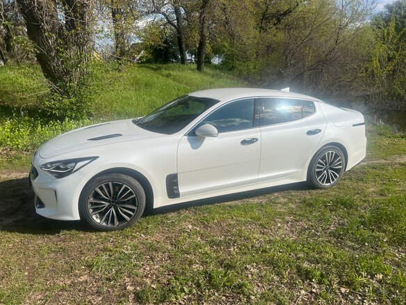 2019 Kia Stinger I, белый, 2100000 рублей - вид 6