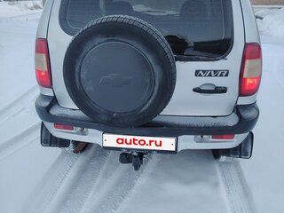 2007 Chevrolet Niva I, серебристый, 325000 рублей, вид 3