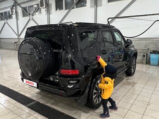 2025 Tank 700, чёрный, 8700000 рублей, вид 4